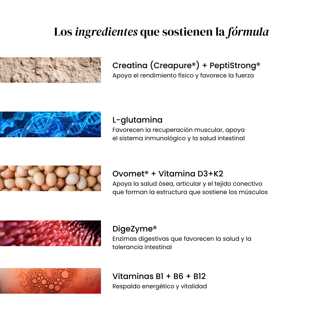 Rendimiento muscular